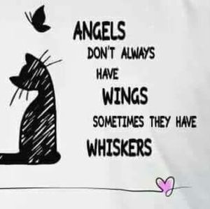 Meet your Posher, Angelita